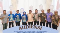 Audiensi