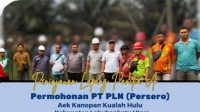 Tinjau Lahan PT PLN