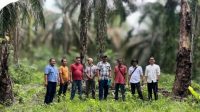 Pengecekan Lapangan dan Identifikasi