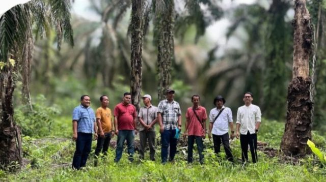 Pengecekan Lapangan dan Identifikasi