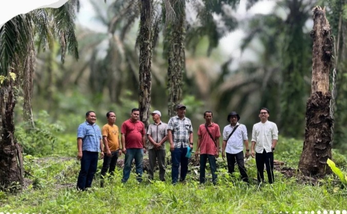 Pengecekan Lapangan dan Identifikasi